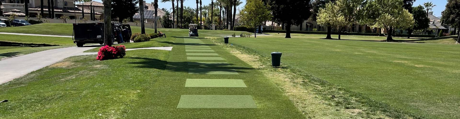 Artificial Grass Tee Lines